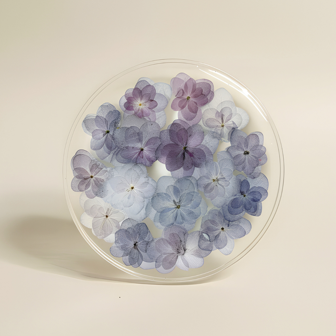Pressed Hydrangea Handmade Resin Coaster